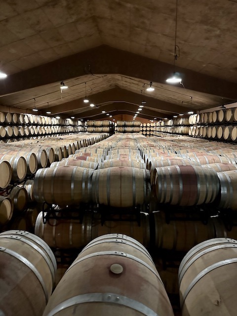 Fernandez de Pierola Tempranillo blanco