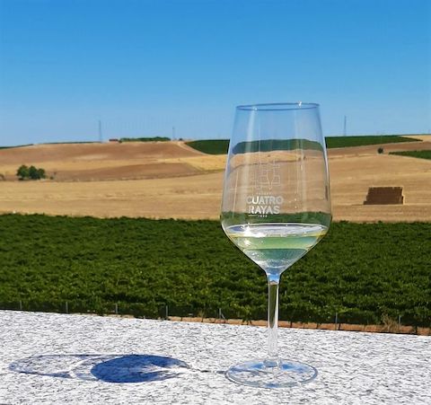 Bodega Cuatro Rayas