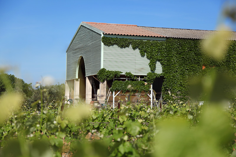 Paul Mas Chardonnay blanc 0,25