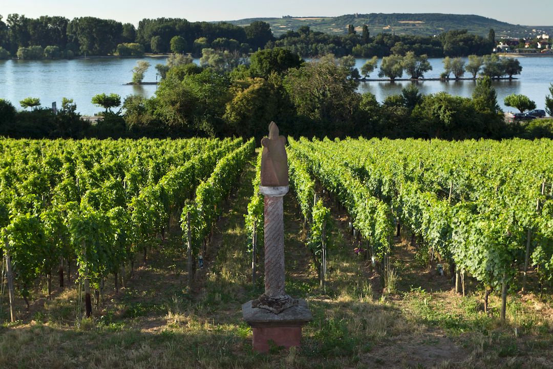 Produkt Bild