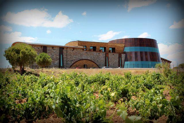 Bodega Luis Cañas