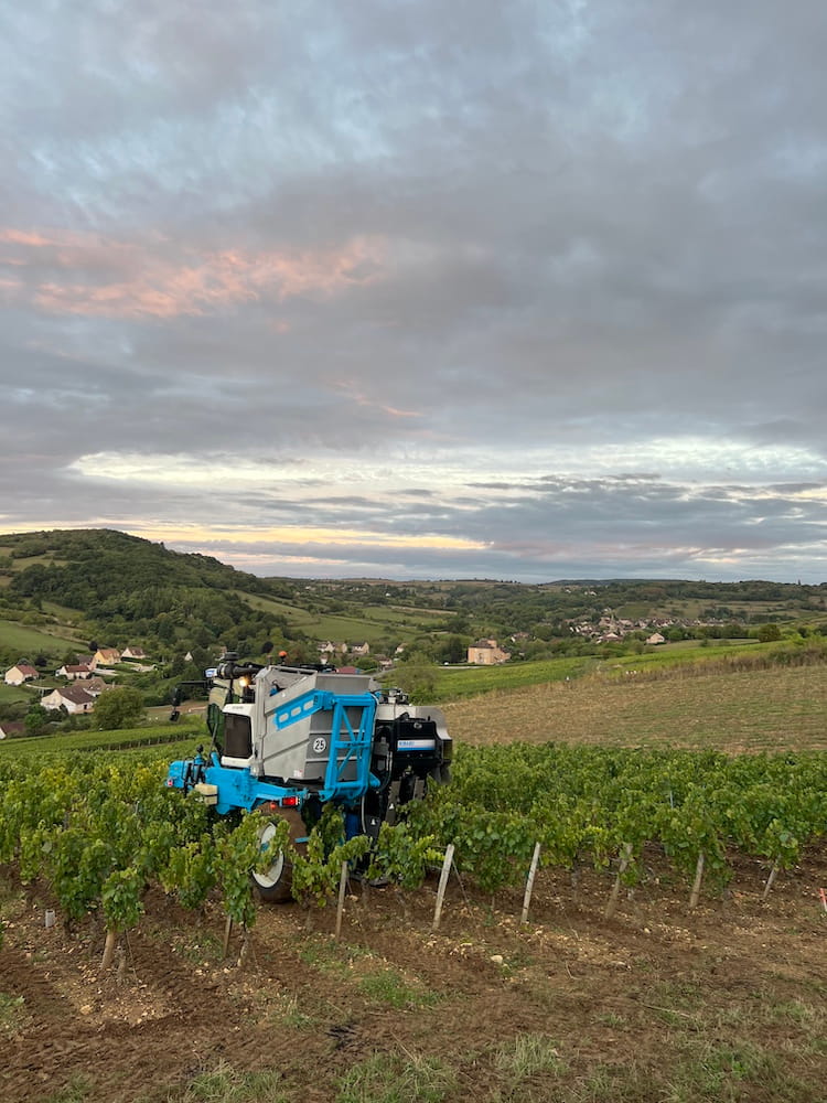 Michel Sarrazin Bourgogne Pinot Noir Les Vielles Vignes 2024
