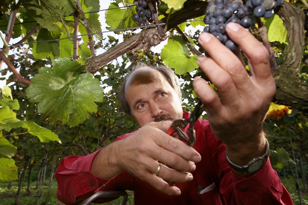 Weingut Martin Wassmer