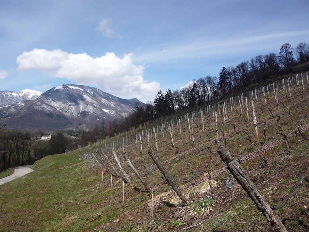 Domaine des Ardoidières