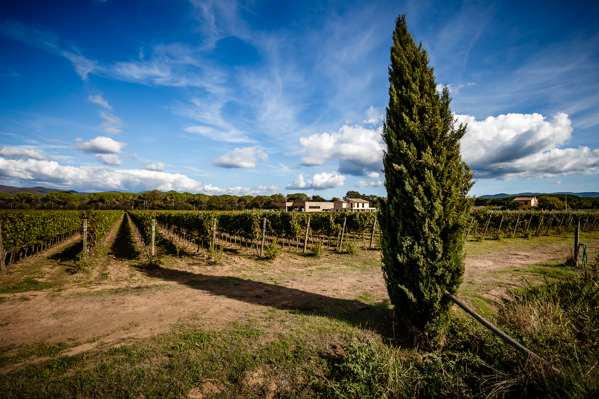 Villanoviana
