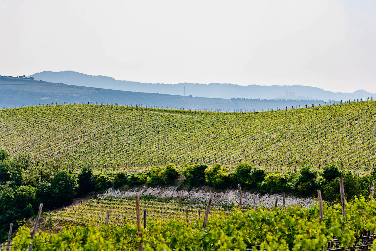 Tenuta Sant´Antonio Scaia Bianca Veneto Bianco IGT