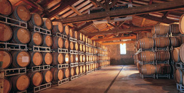 Domaine-de-la-Baume-Elisabeth-Viognier-2.jpg
