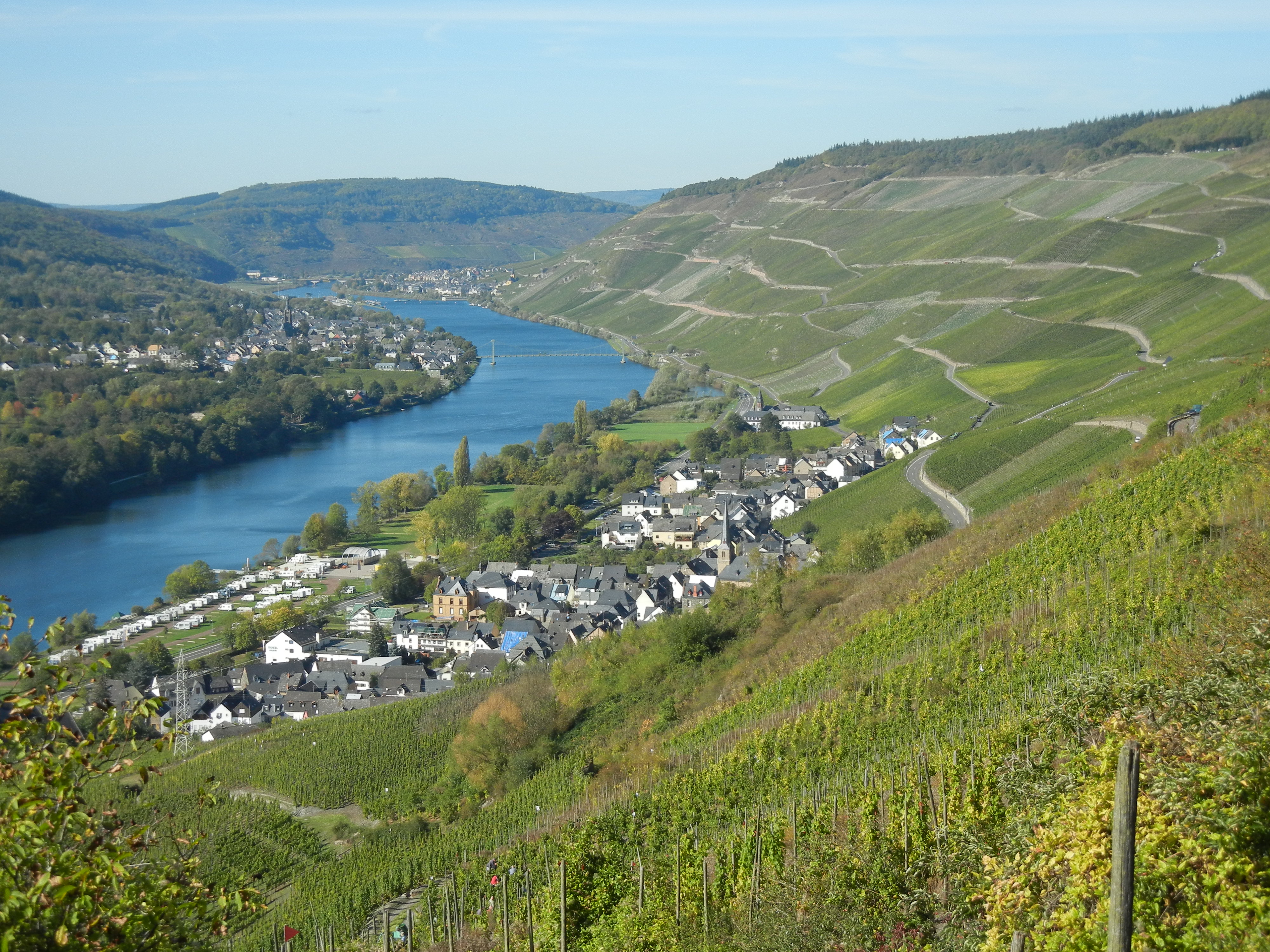 Willi-Schaefer-Graacher-Domprobst-Riesling-Auslese-2010-3.jpg
