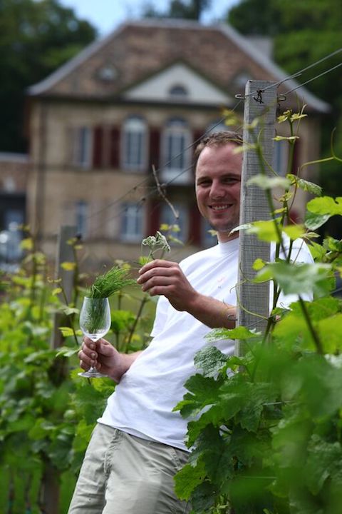 Odinstal Riesling Buntsandstein 2021 BIO