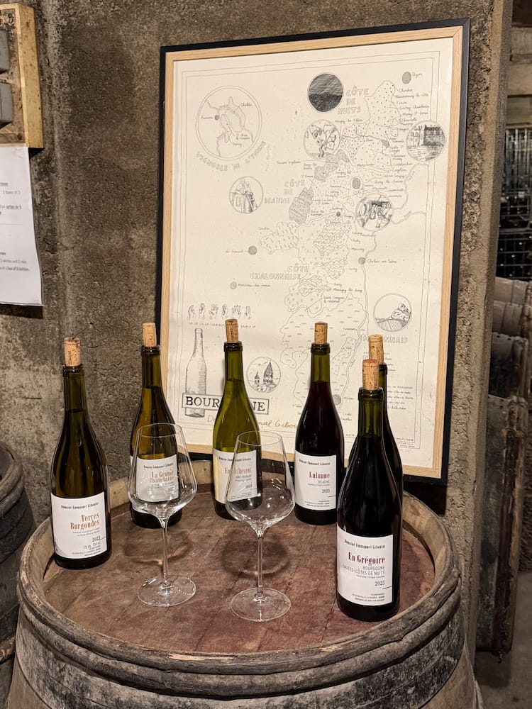 Emmanuel Giboulot Lulunne AOP Beaune 2023 BIO