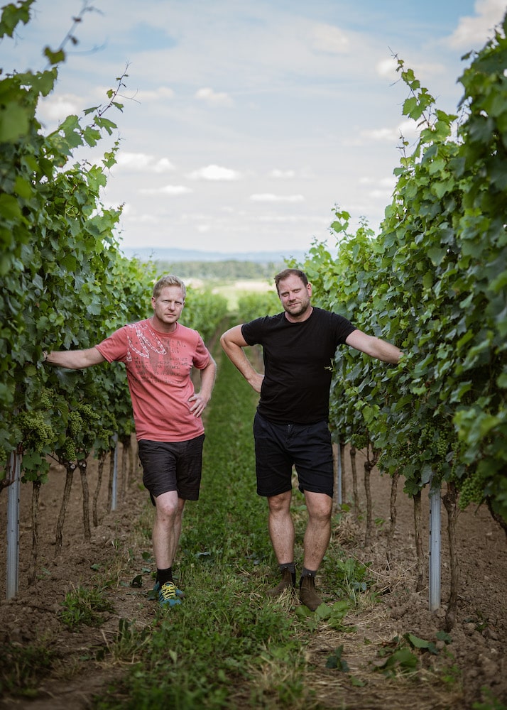 Weinreich Riesling trocken BIO