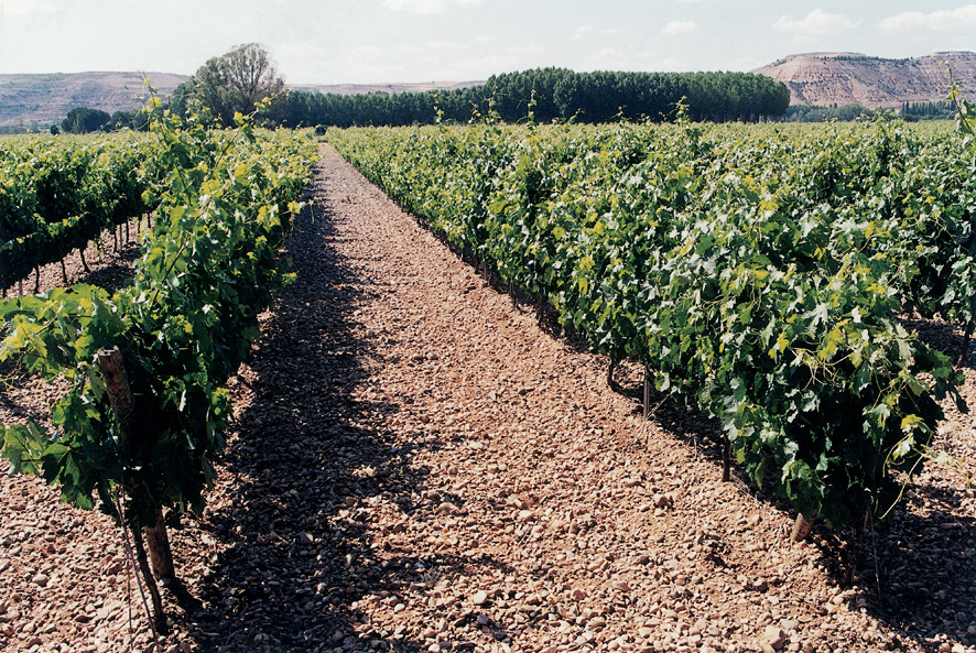 Monteabellon Avaniel Tempranillo rosé