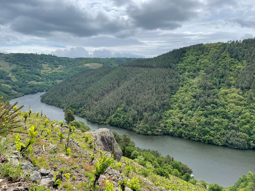 Quinta do Estranxeiro Penapedre 2021