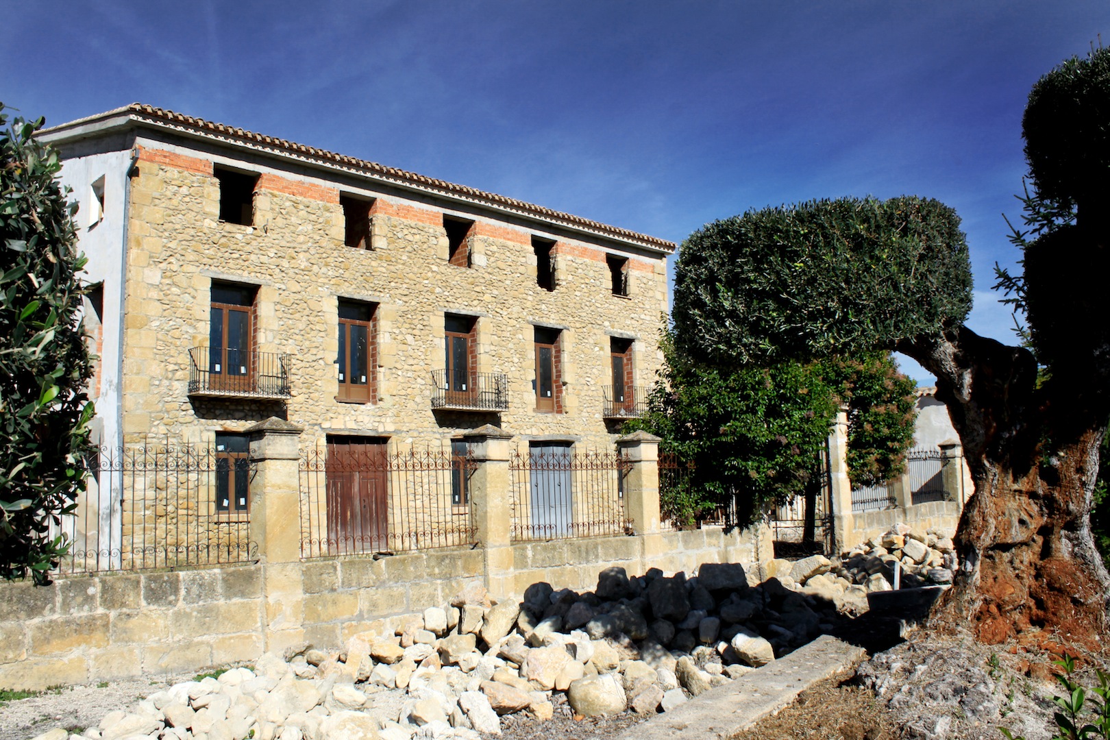 Ribes Oli