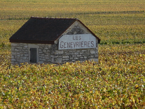 Rémi Jobard Bourgogne Côte d´Or Blanc Vieilles Vignes Chardonnay 2022 BIO