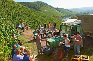 Van Volxem Wiltinger Gottesfuß Alte Reben Riesling Grosses Gewächs 2020