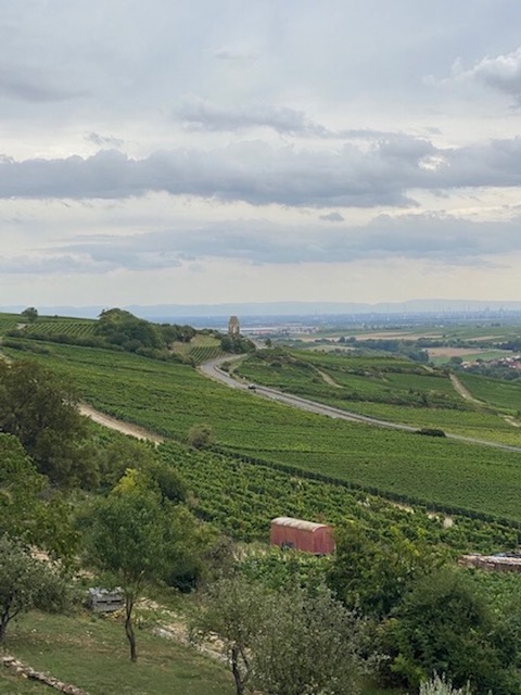 Schwedhelm Kreuzberg Chardonnay 2022 trocken