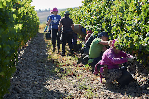 La Rioja Alta Viña Alberdi Reserva 2020