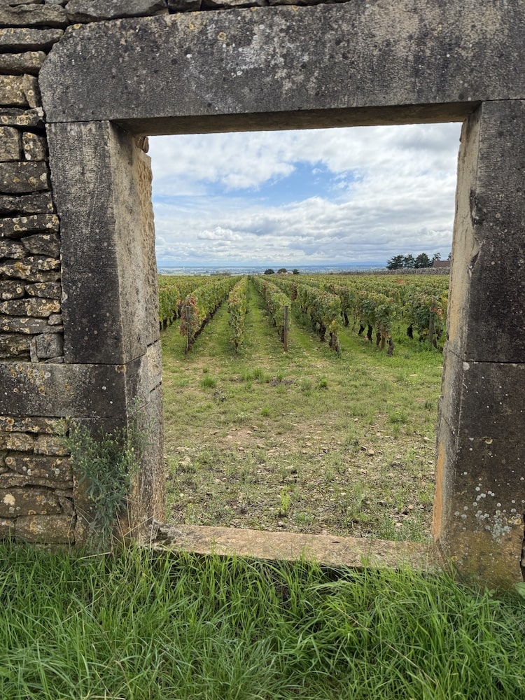 Le Moine Vosne Romanée Les Beaux Monts 1er Cru 2021
