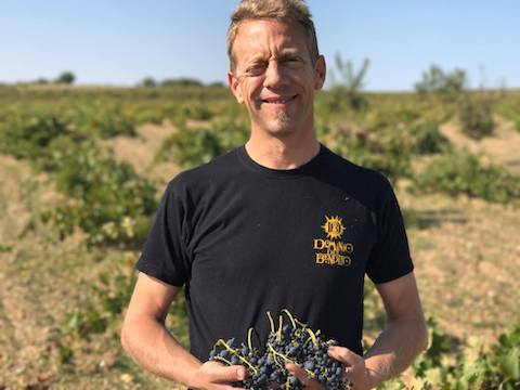 Dominio del Bendito El Primer Paso Magnum BIO