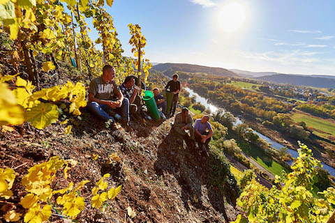 Van Volxem Wiltinger Gottesfuß Alte Reben Riesling Grosses Gewächs 2018