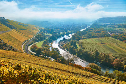 Van Volxem Wiltinger Gottesfuß Alte Reben Riesling Grosses Gewächs 2018