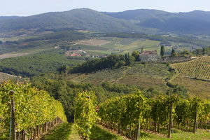 Castelgreve Vin Santo 0,375 Liter