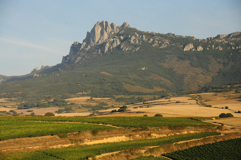 Vina Ardanza Reserva 2019