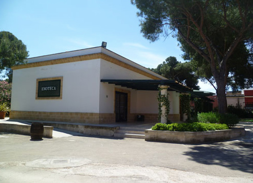 Conti Zecca