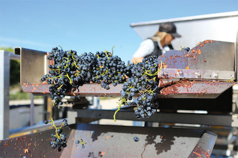 J Dusi Wines Model M 2023