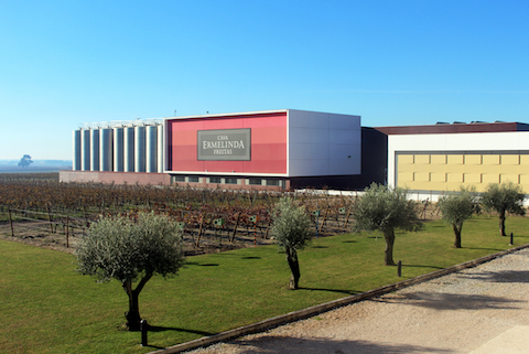 Casa Ermelinda Freitas