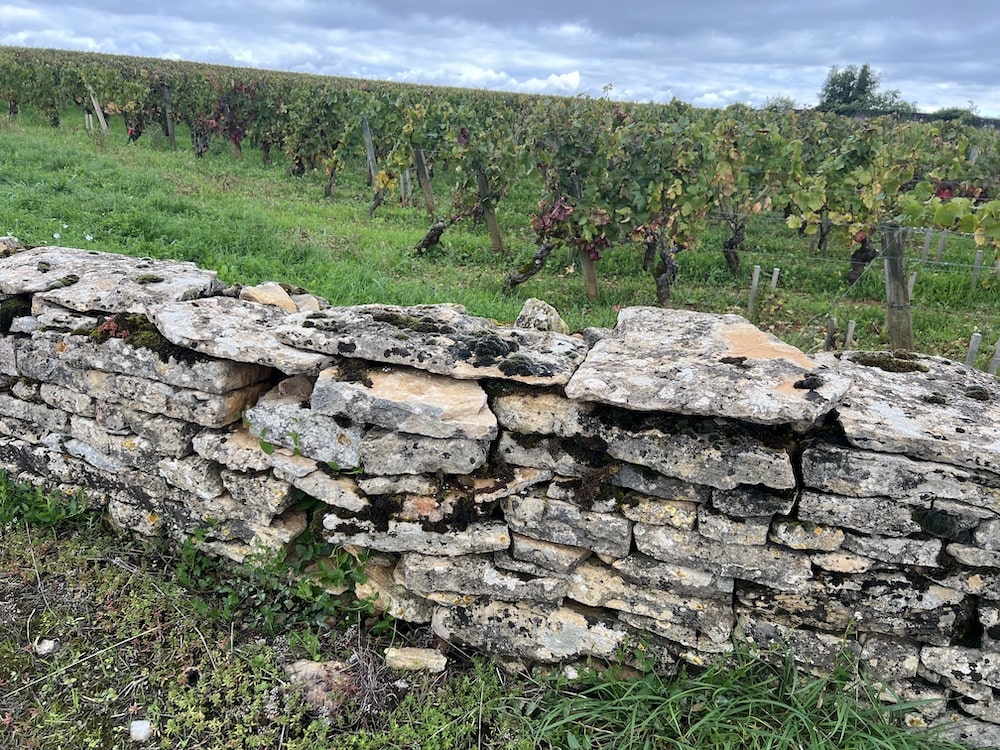 Morey-Coffinet Chassagne-Montrachet En Cailleret 1er Cru 2022 BIO