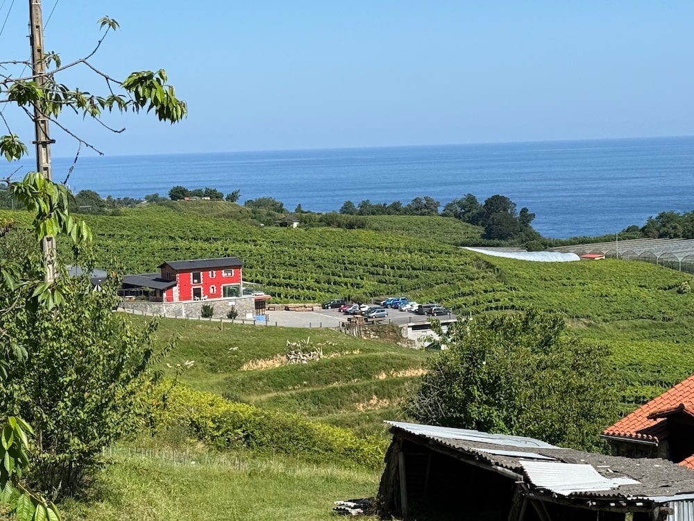 Ameztoi Txakoli Bodega