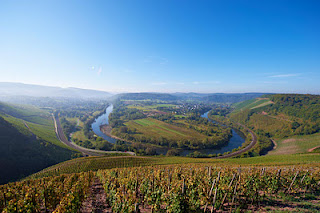 Van Volxem Wiltinger Gottesfuß Alte Reben Riesling Grosses Gewächs 2020
