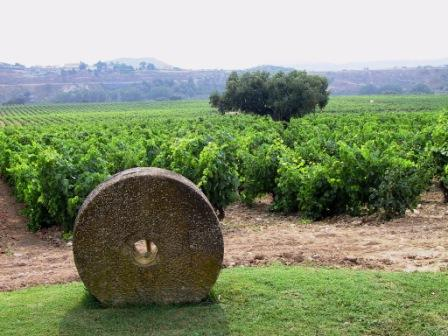 Contino Reserva 2018