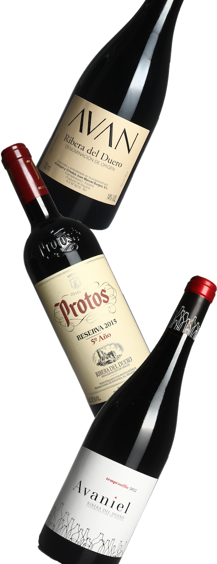 Ribera del Duero Tinto Probierpaket