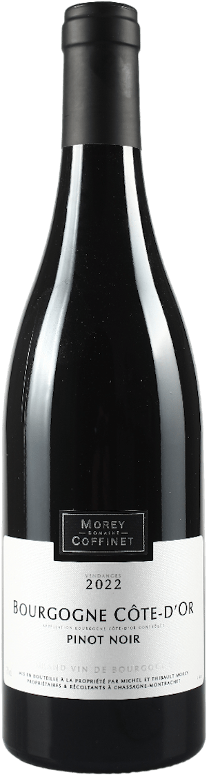 Morey-Coffinet Bourgogne Côte d’Or Pinot Noir 2022 BIO