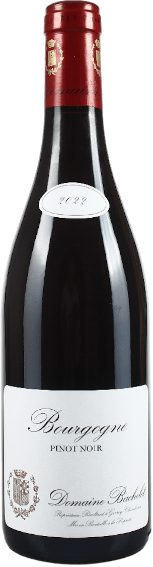 Domaine Bachelet Bourgogne Pinot Noir 2023