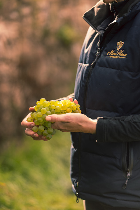 Martin Waßmer Pinot Rosé brut Magnum