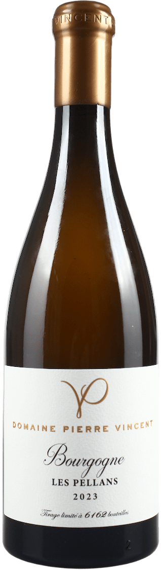 Domaine Pierre Vincent Bourgogne Les Pellans 2024