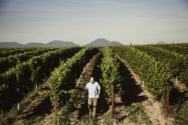 Oliver Zeter Viognier trocken