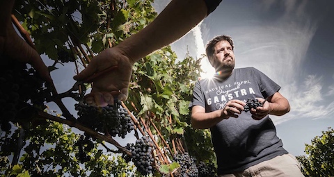 Markus Schneider Sauvignon Blanc Kaitui