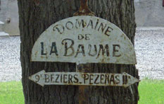 Domaine-de-la-Baume-Elisabeth-Viognier-1.jpg