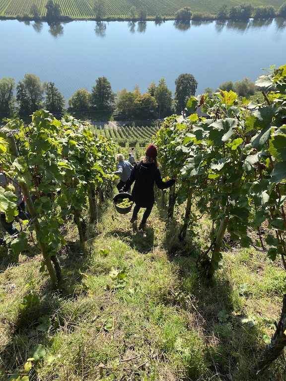 Weingut Julian Haart