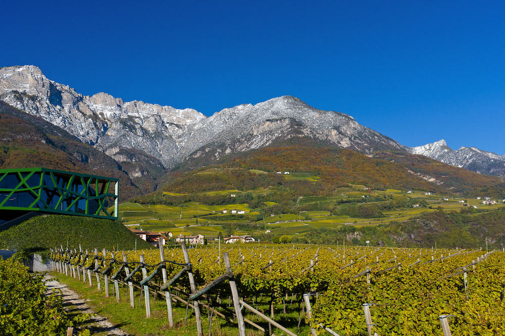 Tramin Lagrein