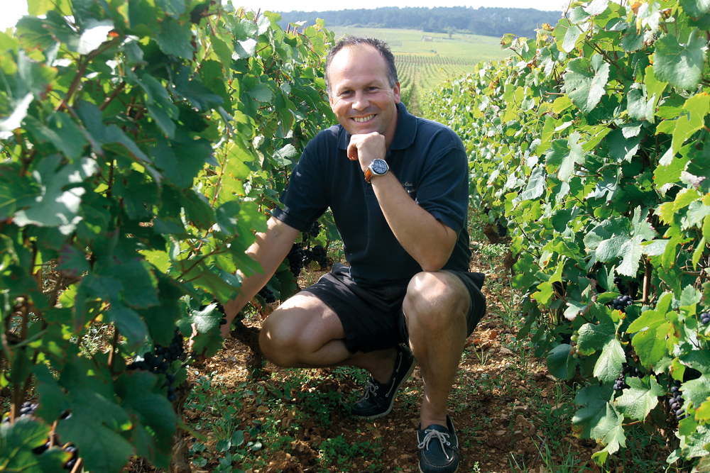 Domaine de Montille