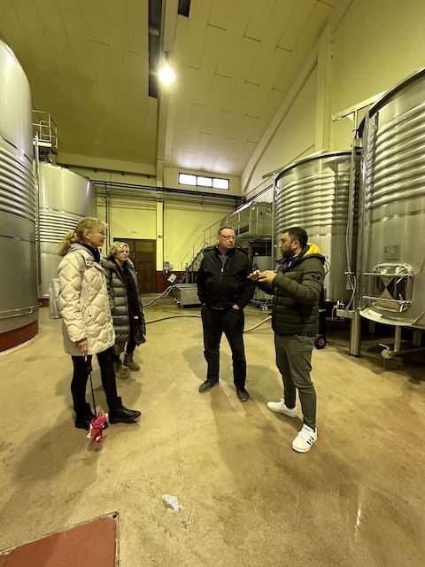 Fernandez de Pierola Vitium 2015
