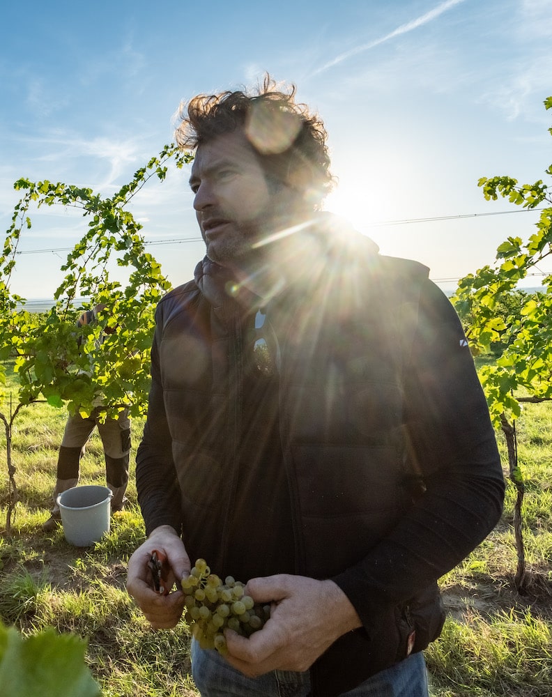 Herbert Zillinger Horizont Grüner Veltliner 2022 BIO