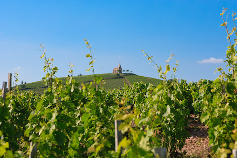 Desjourneys Moulin à Vent Styx rouge 2017
