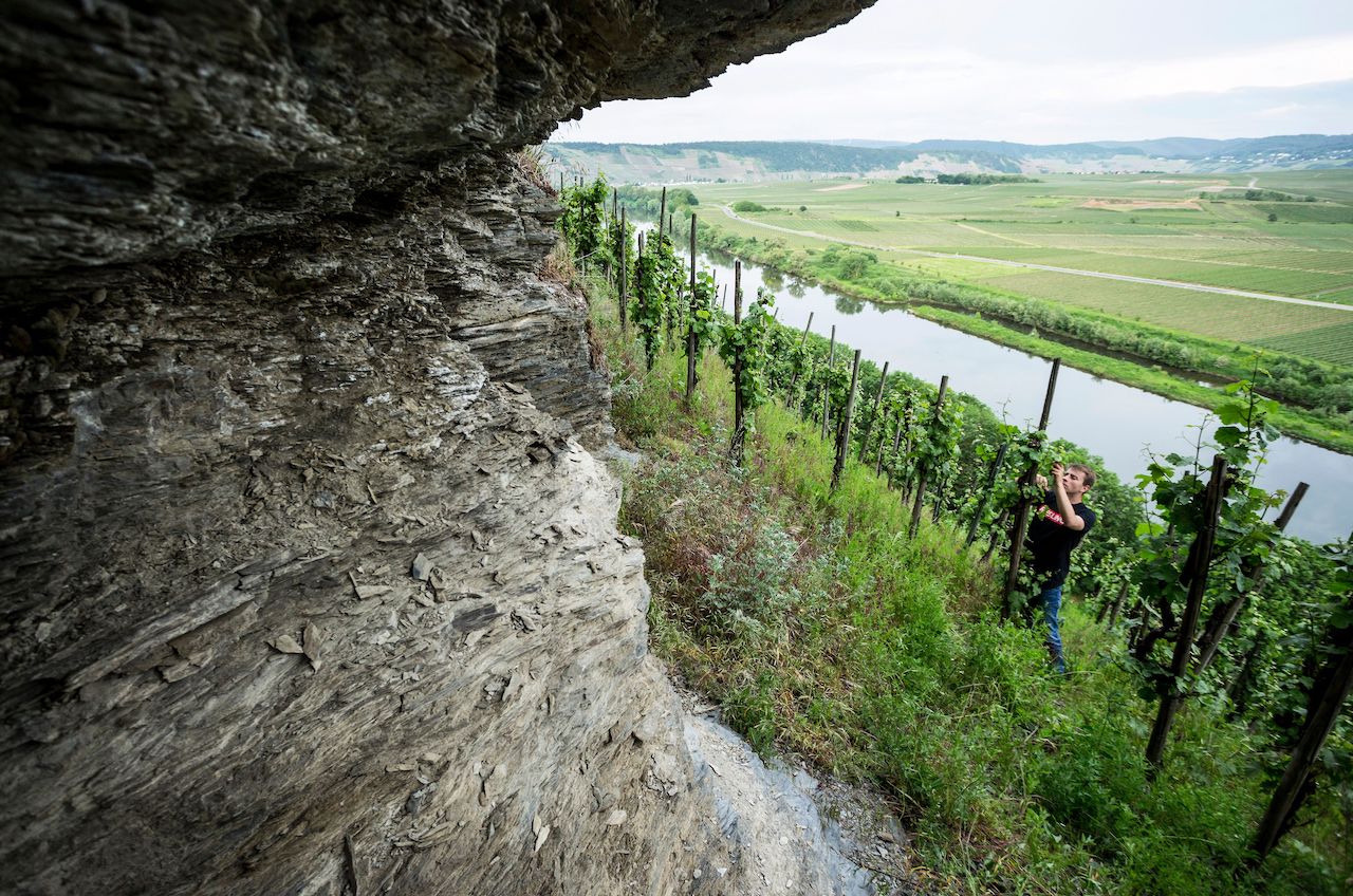 Hermann Ludes Thörnicher Ritsch Riesling Spätlese 2017 Late Release